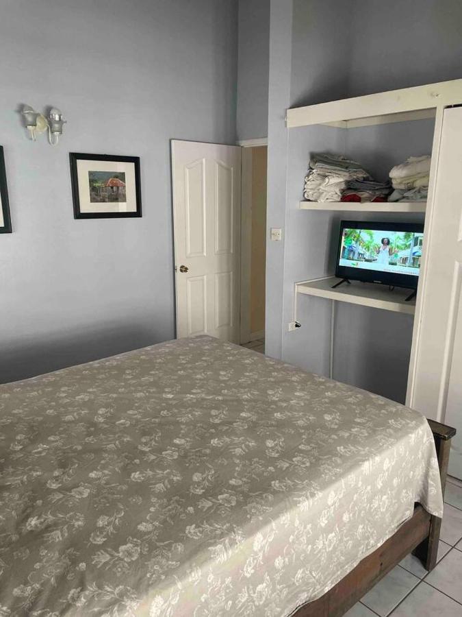 Mountain View Apartment Basseterre Esterno foto
