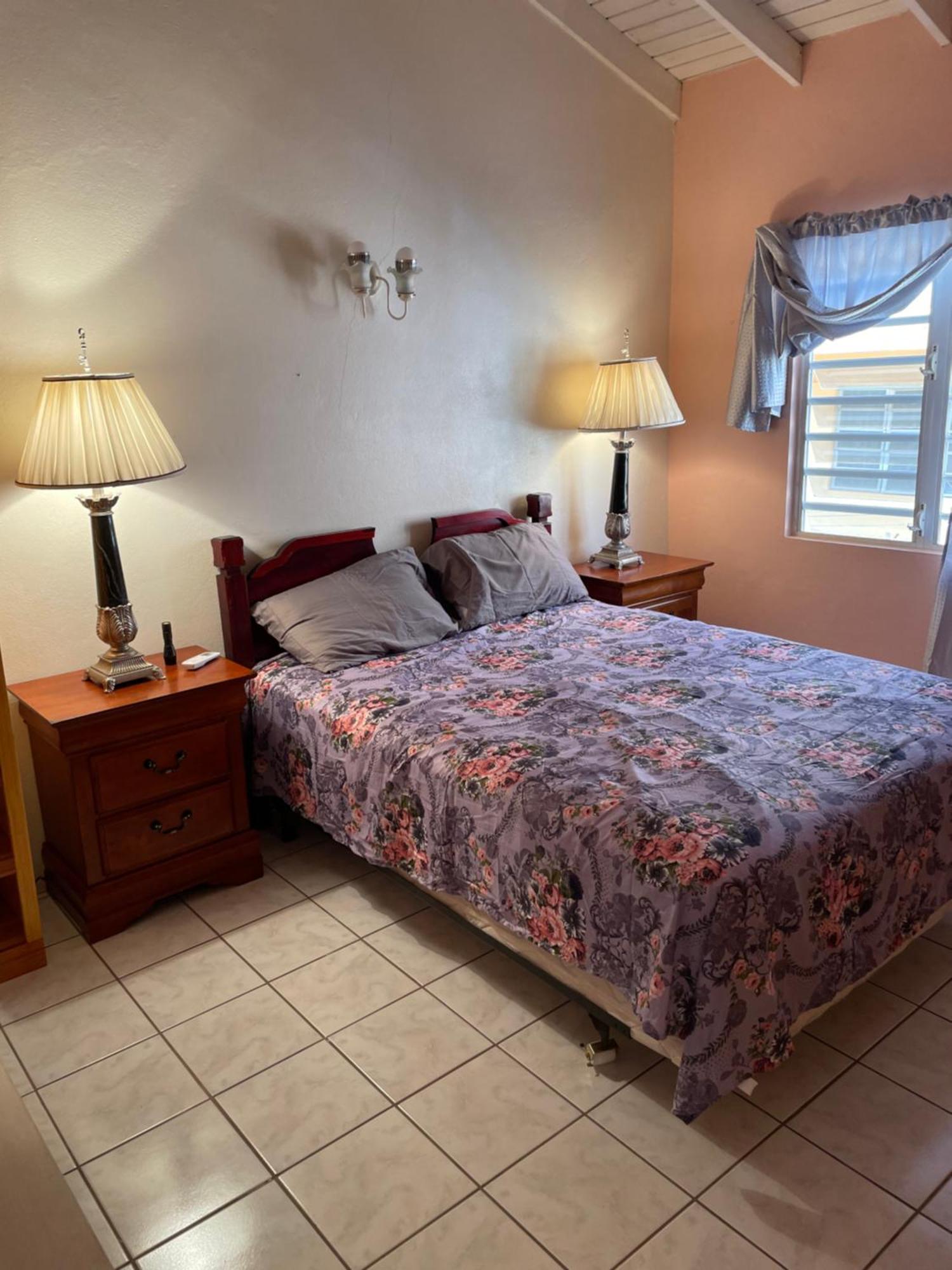 Mountain View Apartment Basseterre Esterno foto