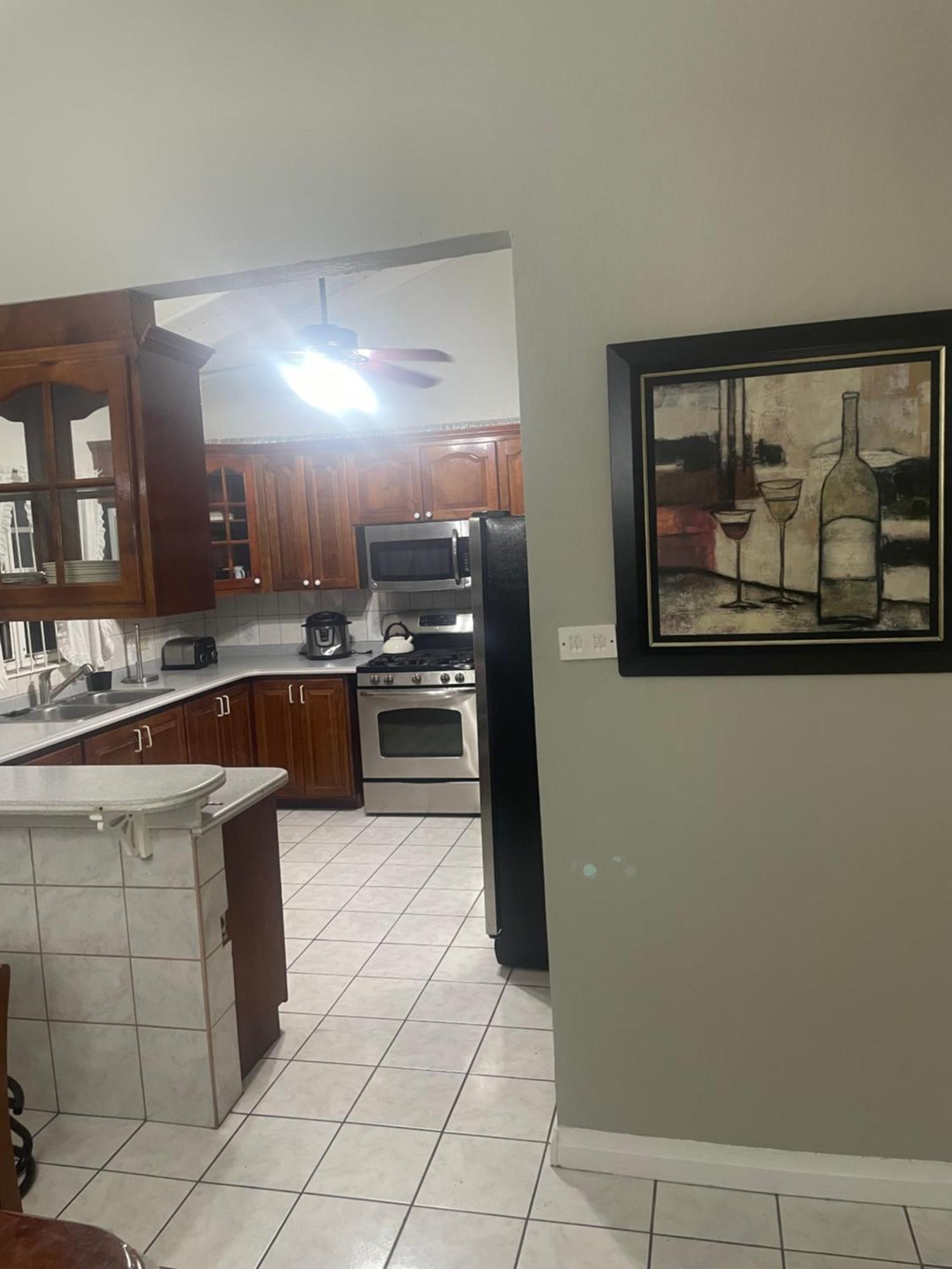 Mountain View Apartment Basseterre Esterno foto