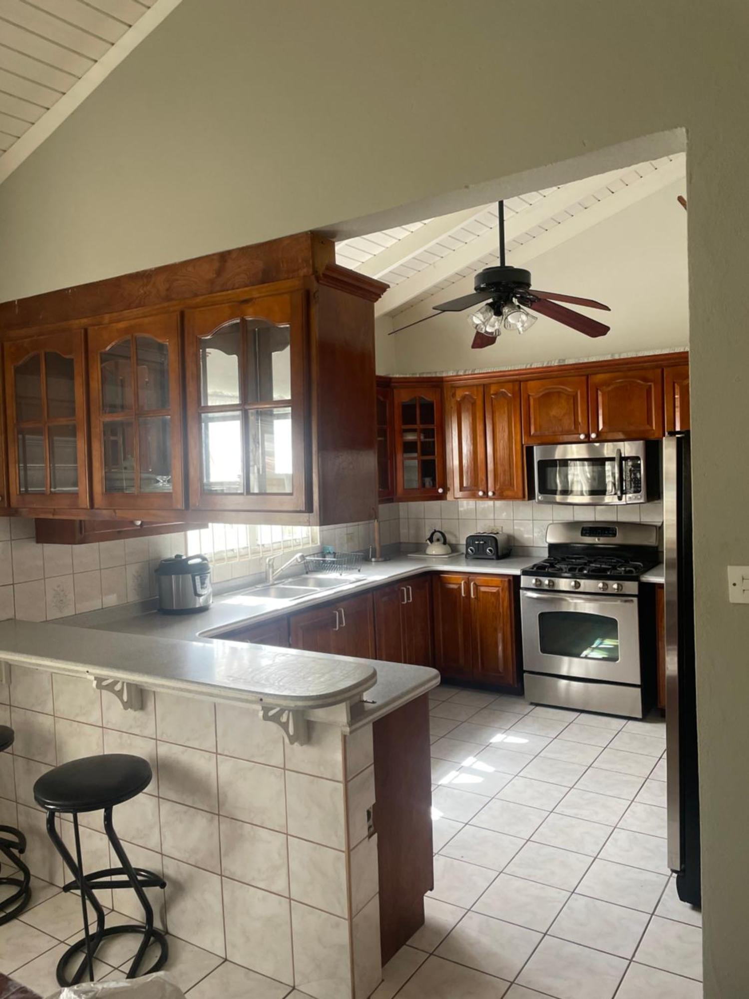 Mountain View Apartment Basseterre Esterno foto