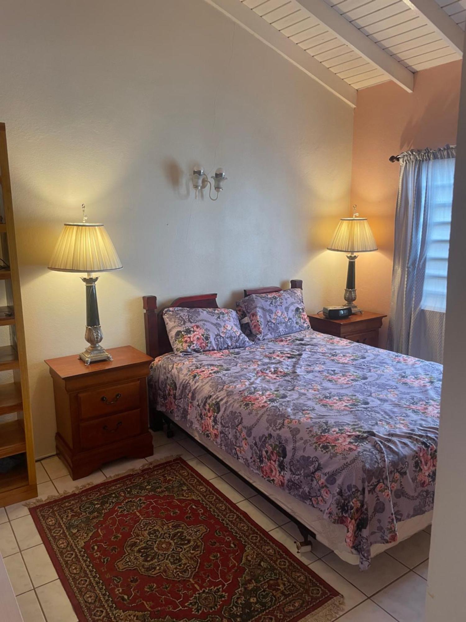 Mountain View Apartment Basseterre Esterno foto
